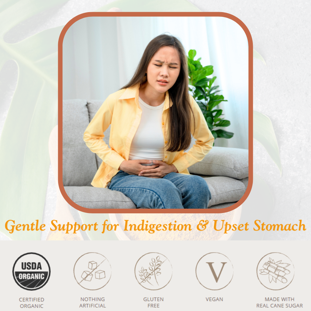 Chimes Tranquil Turmeric Adaptogen Ginger Chews Candy Pack of 3, 7.5 oz total with Ashwagandha, Reishi, Turmeric and Curcumin